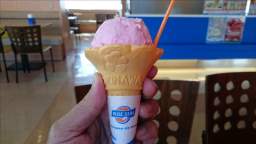 2015-05-08 16.05.32.JPG